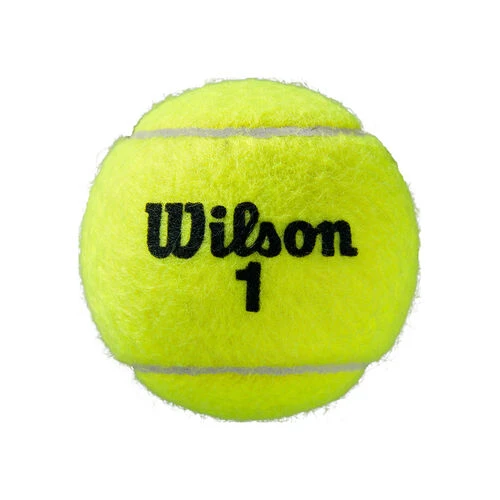 Wilson Roland Garros All Court 2x 4 Ball Tube - Image 3